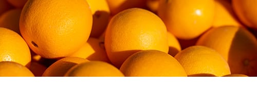 Tumut Grove Citrus